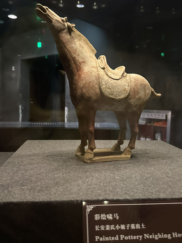  🎨 【西安陝西歷史博物館｜唐代壁畫珍品館】行入盛唐地下宮殿 🏛️💫｜史上最震撼原版壁畫展