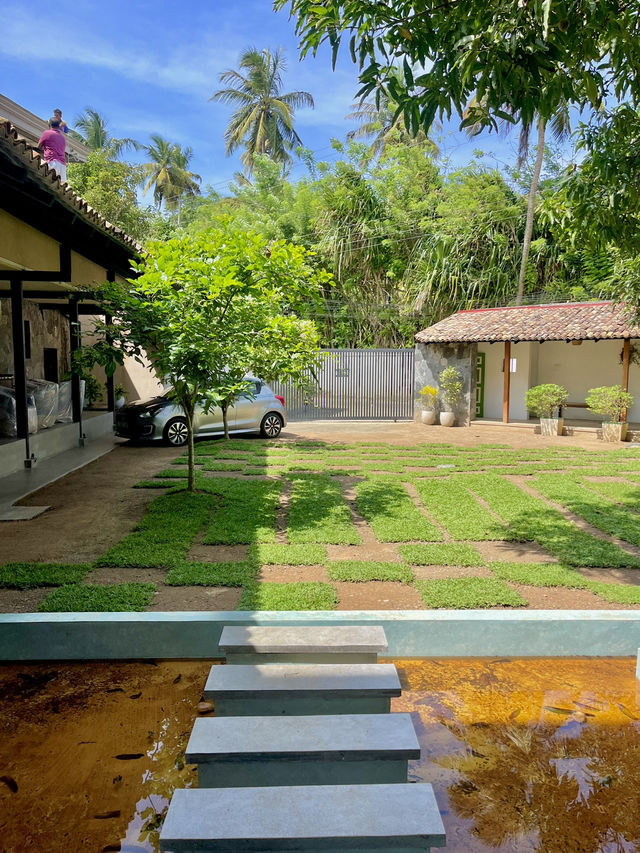 Lovely stay in Mirissa🌿