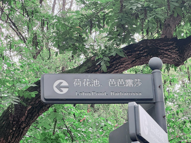 2 Days in Shanghai