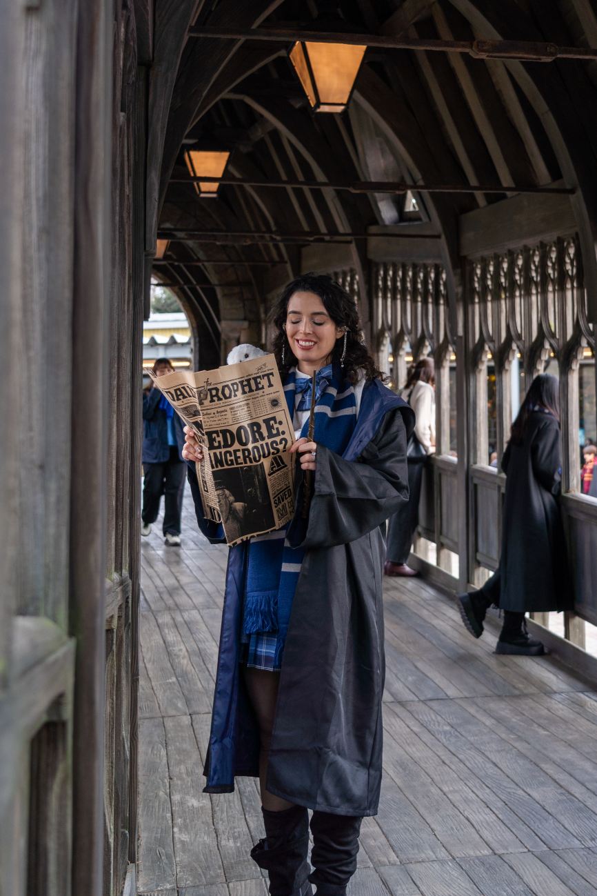 Hogwarts Bridge Portraits, Diagon Alley Wand Shop, Castle Details