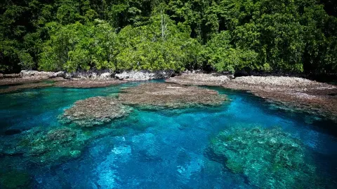 2026年ソロモン諸島：誰も教えてくれないインサイダーガイド（行く前に必ず保存して） — traveler post in バヌアツ