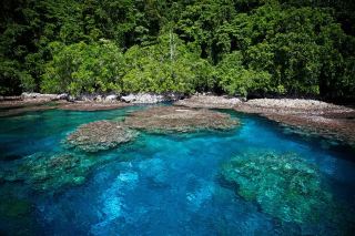 SOLOMON ISLANDS 2026: The Insider’s Guide Nobody Shares (Save This Before You Go) 🇸🇧