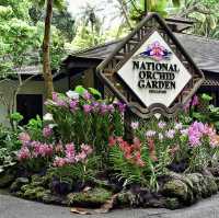 Singapore botanical gardens 🌺