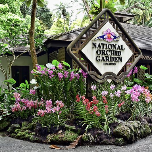 Singapore botanical gardens 🌺