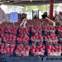 Local market @ Sofia