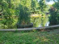 Bucharest Botanical Garden 🌺🌸🌼