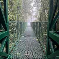 Monteverde 