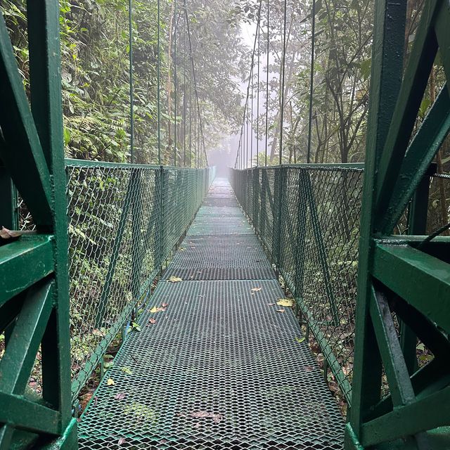 Monteverde 