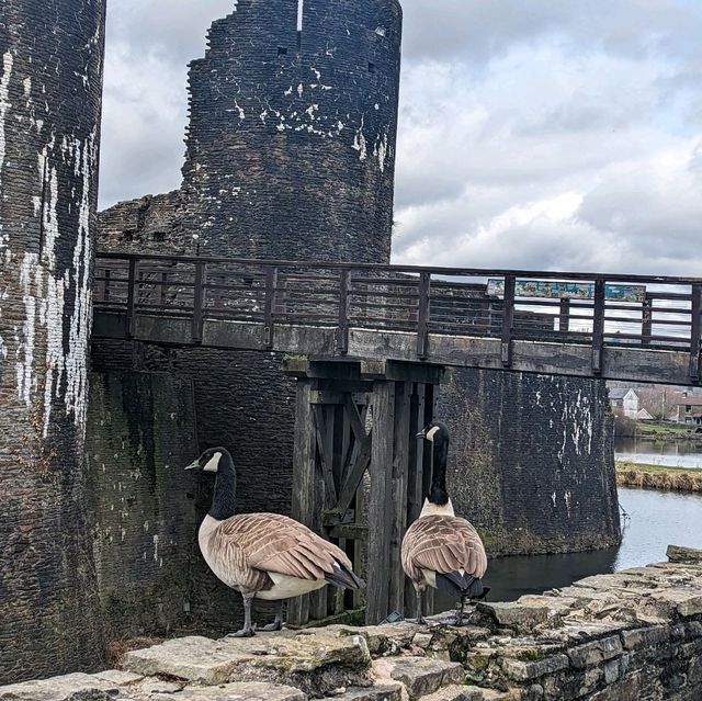 Caerphilly Castle