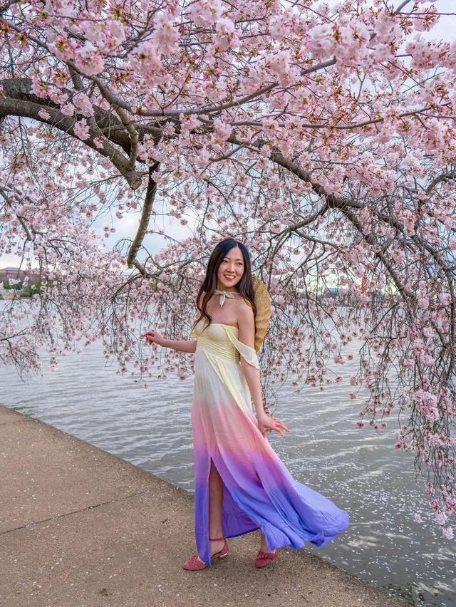조수 독 🌸 🇺🇸 