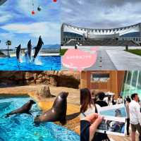 《海洋世界海之中道》🐠九州之海為主題的水族館🦈