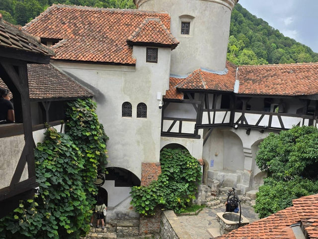 Castle of Dracula 🇷🇴