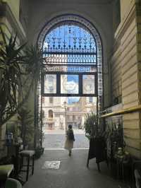 🇫🇷Maca Vilacrosse Passage 