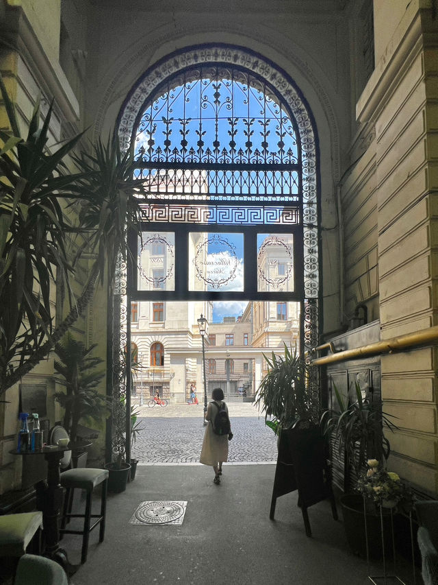 🇫🇷Maca Vilacrosse Passage 