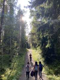 Foraging Adventure in Finnish National Park 🇫🇮 🍓🍄🌲