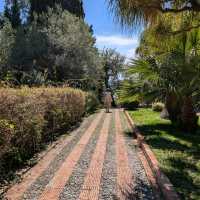 Beautiful garden in Taormina