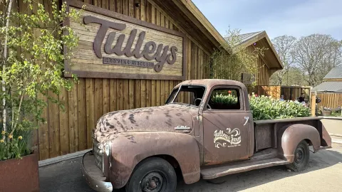 Lễ hội hoa tulip thường niên của Tulleys Farm tại Vương quốc Anh — traveler post in Crawley