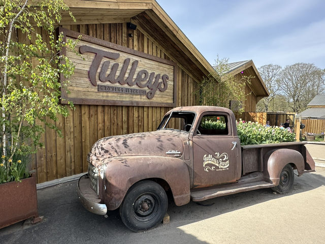 英國Tulleys Farm一年一度鬱金香節