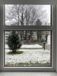 Frost & Found: Chasing Christmas Magic in Hamburg