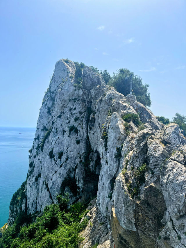 Monkeying around on Gibraltar🇬🇮 