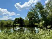 Blueway + Knocklofty Forest Loop