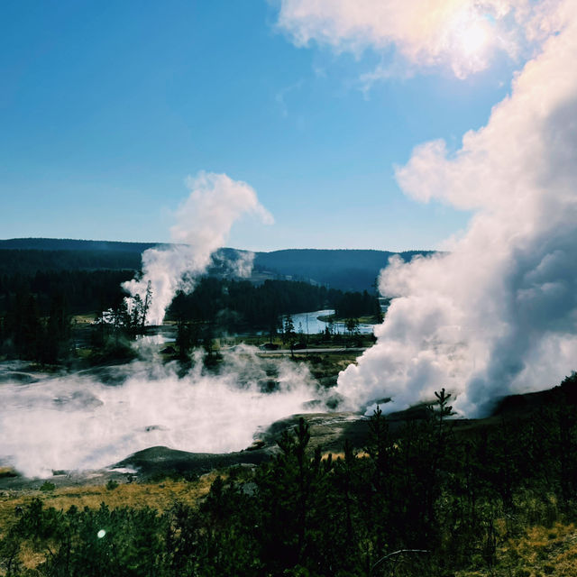 🚗🌲 Top Transportation Tips for Exploring Yellowstone National Park