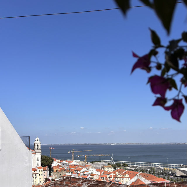 Lisbon’s Best Views: A Morning to Remember! 