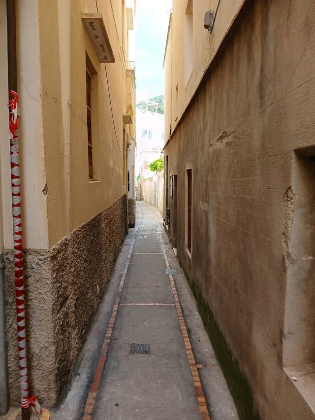 Sorrento to Capri Day Trip 