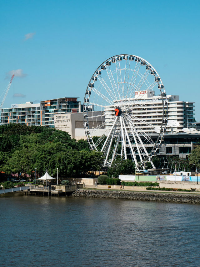 City Serenity by the Brisbane River