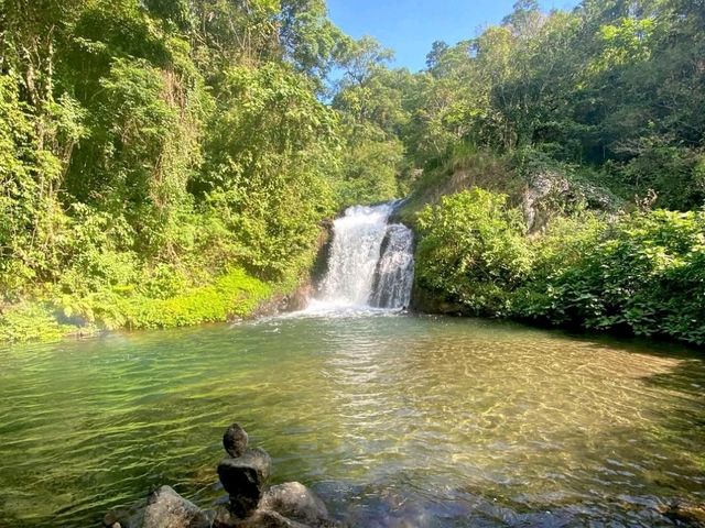 🐬 Lovina – Bali’s Tranquil Northern Escape