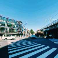 Ueno: Tokyo’s Cultural & Nature Hub