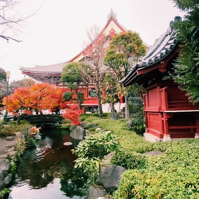 Tokyo: A City of Endless Discovery