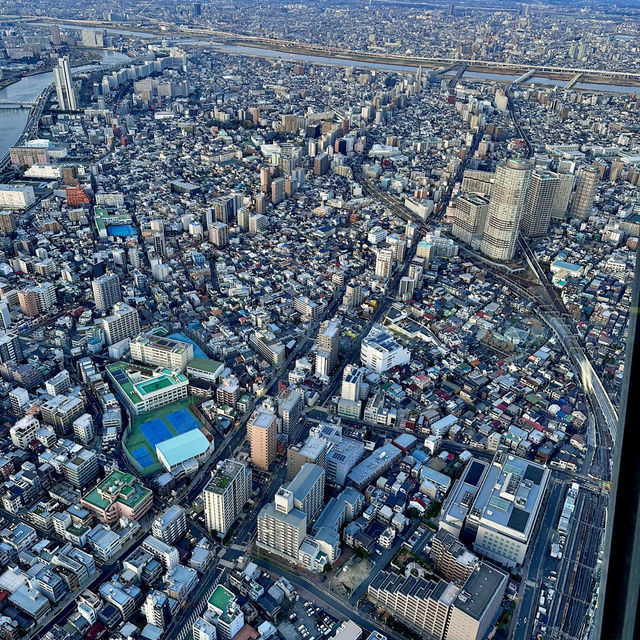 Tokyo Skytree at sunset 🌅