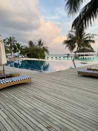 Robinson Club Maldives — Where Parrots Land on Your Hand and Reef Sharks Feel Like Friends