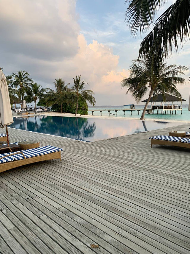 Robinson Club Maldives — Where Parrots Land on Your Hand and Reef Sharks Feel Like Friends Robinson Club Maldives — Where Parrots Land on Your Hand and Reef Sharks Feel Like Friends