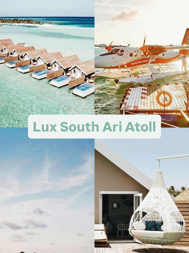 Why Bother Living Anywhere Else When You've Found Paradise? ✈️🌴🍹