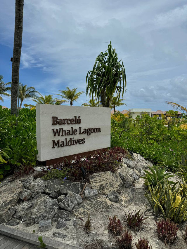 Barceló Whale Lagoon Maldives — Where the Ocean Whispers Your Name and Luxury Feels Like Breathing