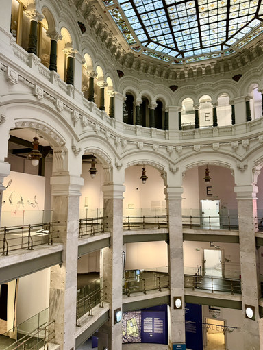 Photography That Feels Alive | Trip.com Madrid