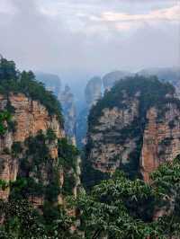 Как Увидеть парк Аватар без толп!