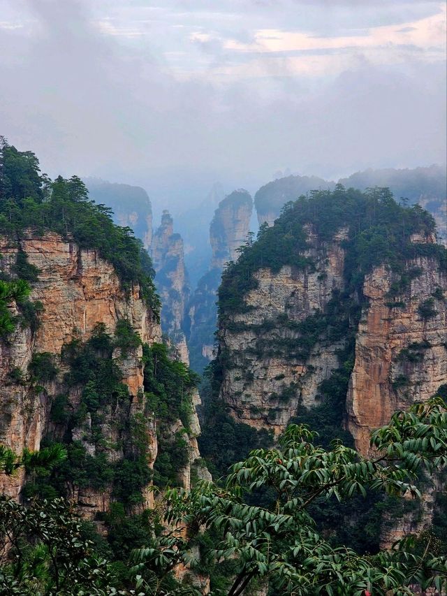 Как Увидеть парк Аватар без толп!