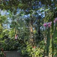 Muttart Conservatory