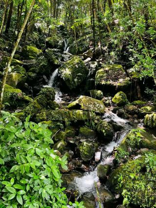 Jimenez的雨中魔法。