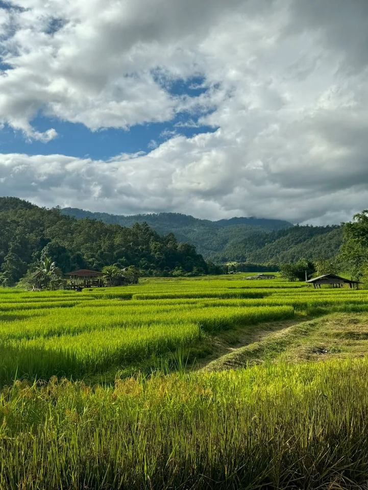 🇹🇭 Chiang Rai Is Not Chiang Mai (And That's The Point)