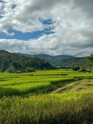 🇹🇭 Chiang Rai Is Not Chiang Mai (And That's The Point)