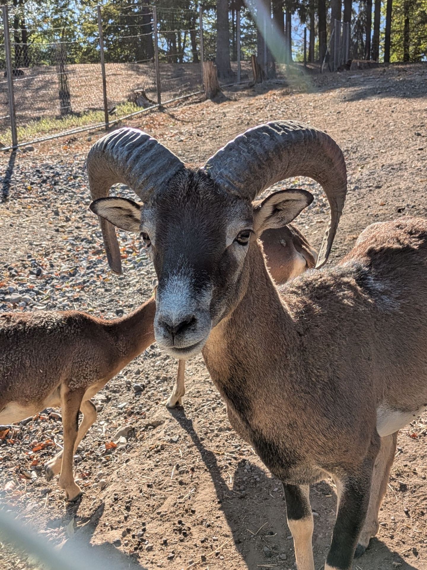一家大細親親野生動物體驗｜免費入場。