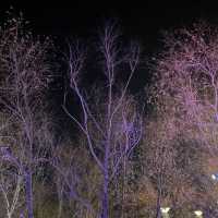 Taiping Square 