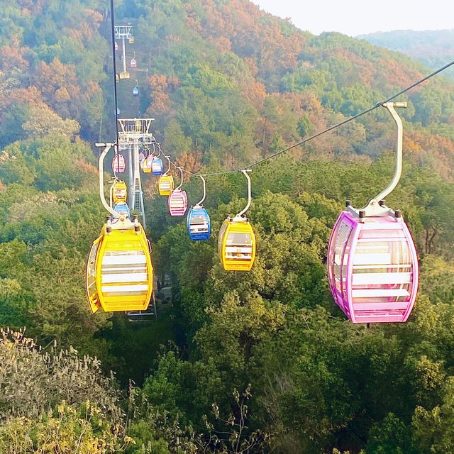 Road to Wonderland donghu eye Ferry Wheel