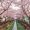 RenewedSanctuaries