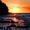 wyatt_5870