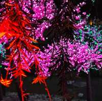 福建龍岩｜永定土樓世界遺產，神奇的存在